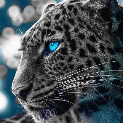 綾春🏎️🇮🇹